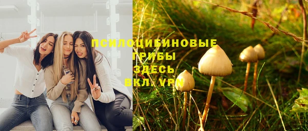 винт Пестово