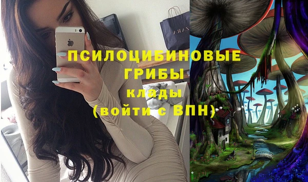 винт Пестово