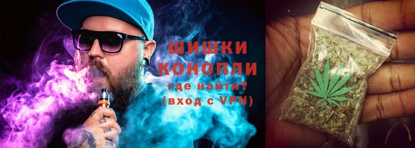 винт Пестово